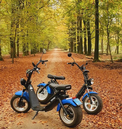 E- Chopper in bos veluwe